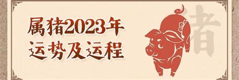 肖豬2024|属猪人2024年全年运势运程详解